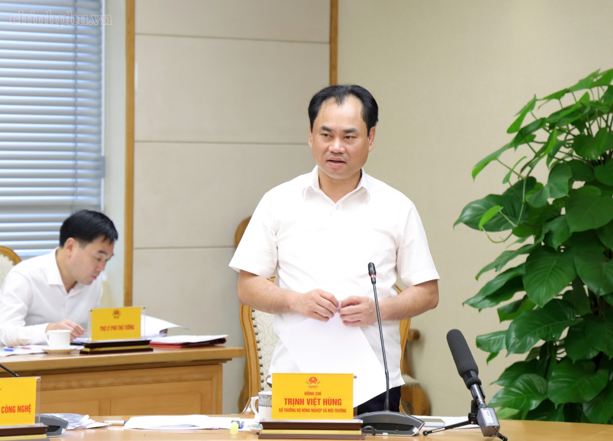 Bộ trưởng Bộ Nông nghiệp và Môi trường Trịnh Việt Hùng báo cáo tại cuộc họp. Ảnh: Chinhphu.vn/Gia Huy.