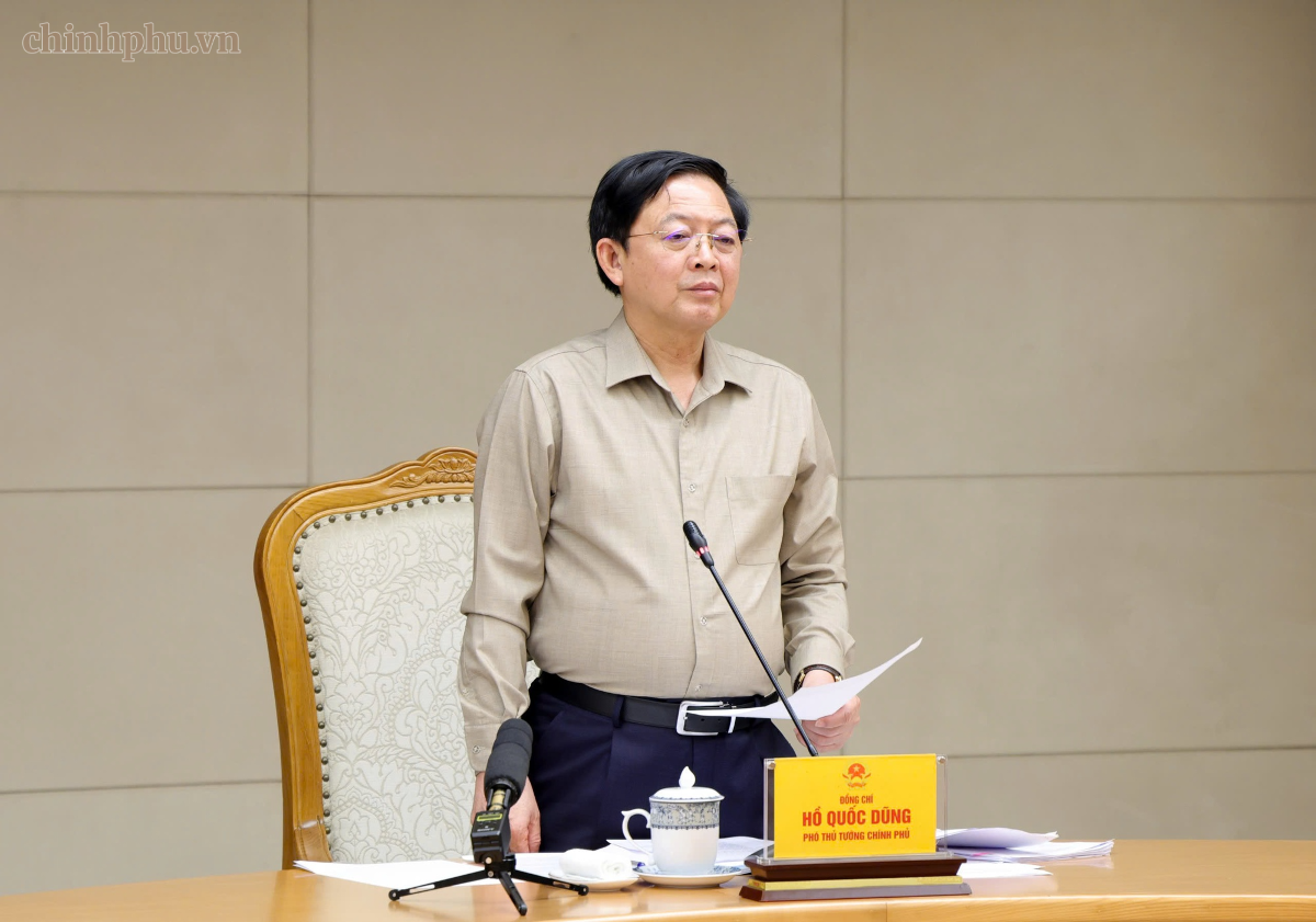 Phó Thủ tướng Hồ Quốc Dũng phát biểu chỉ đạo tại cuộc họp. Ảnh: Chinhphu.vn/Gia Huy.