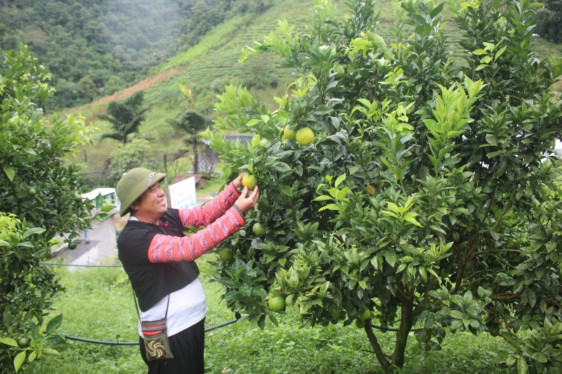 Fruit and vegetable exports top $7.35 billion in 9M