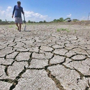 El Niño đang diễn ra, gia tăng cường độ và được dự báo sẽ tiếp tục kéo dài đến hết tháng 2/2027. Ảnh minh họa: Philstar