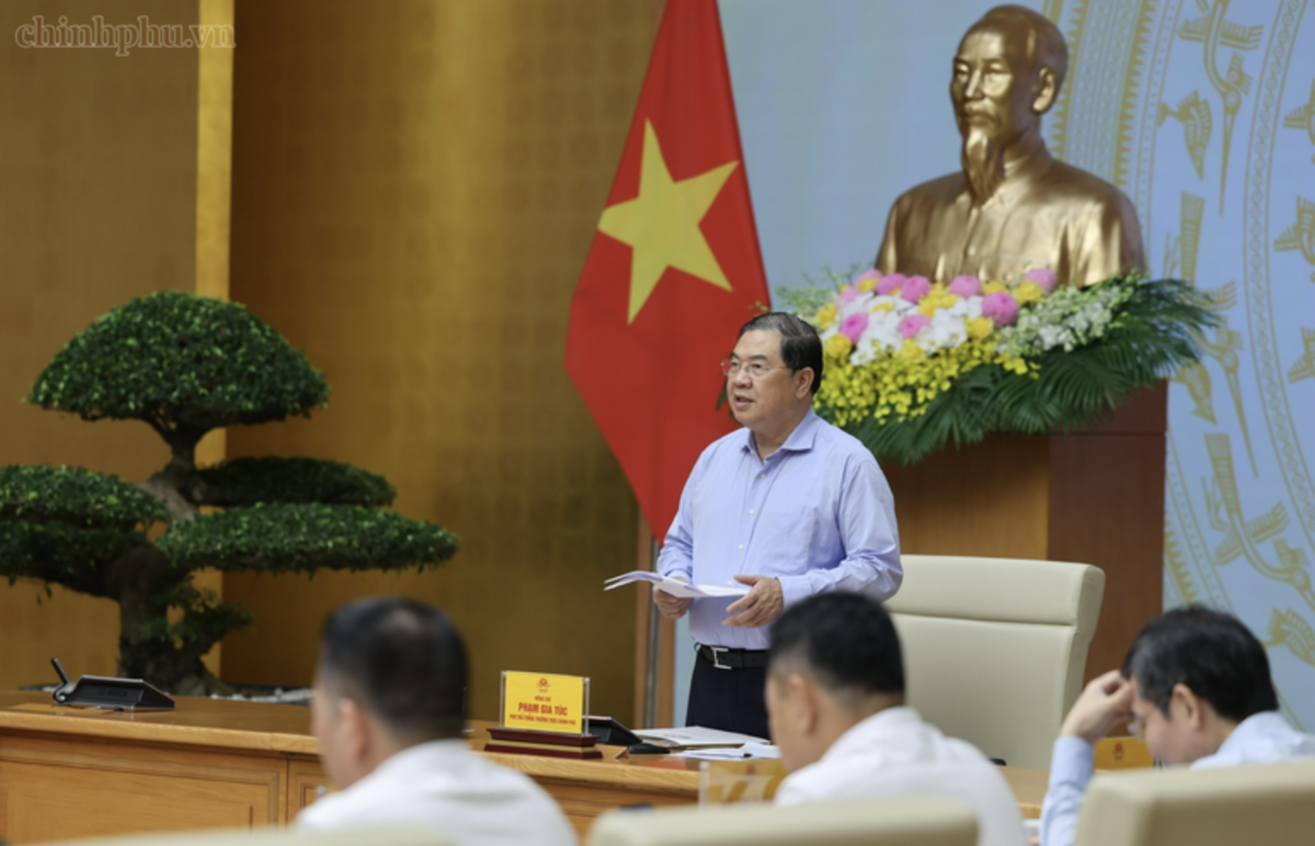 Phó Thủ tướng Thường trực Chính phủ Phạm Gia Túc phát biểu kết luận phiên họp thứ nhất của Ban Chỉ đạo Trung ương về chính sách nhà ở và thị trường bất động sản - Ảnh: chinhphu.vn
