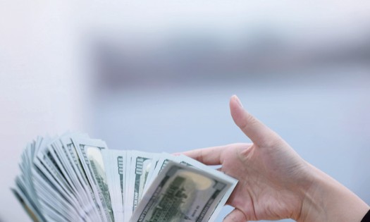 VnEconomy