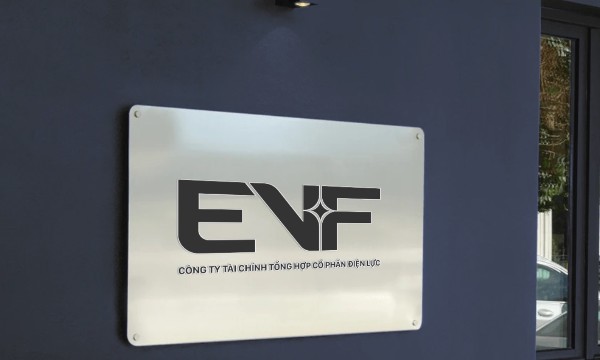 Nhiều nhà đầu tư lớn quan tâm đến cổ phiếu EVF sắp phát hành riêng lẻ