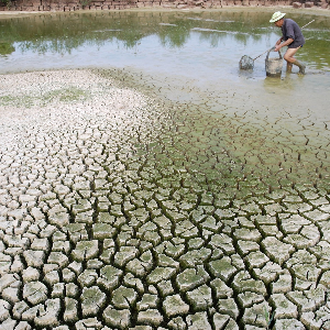 Chủ động ứng phó El Nino, sẵn sàng các phương án bảo đảm an ninh nguồn nước. Ảnh: dwrm