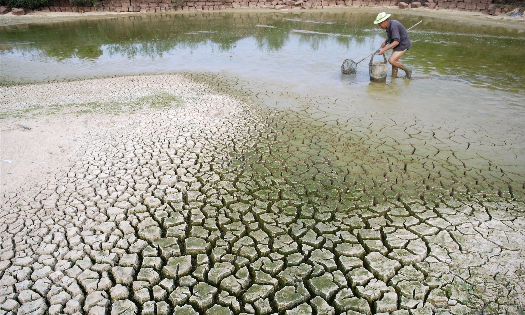 Chủ động ứng phó El Nino, sẵn sàng các phương án bảo đảm an ninh nguồn nước. Ảnh: dwrm