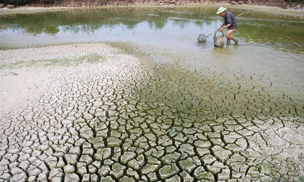 Chủ động ứng phó nguy cơ hạn hán, thiếu nước do El Nino, đảm bảo an ninh nguồn nước