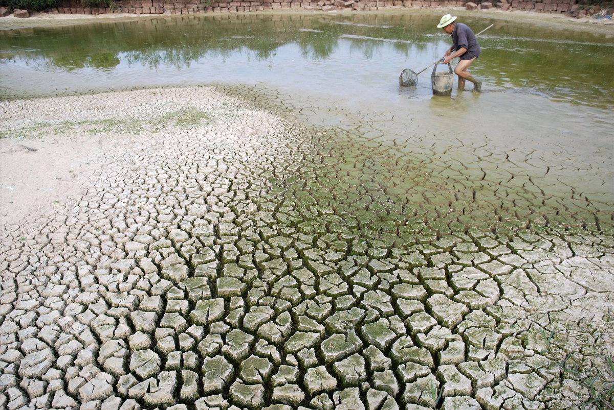 Chủ động ứng phó El Nino, sẵn sàng các phương án bảo đảm an ninh nguồn nước. Ảnh: dwrm