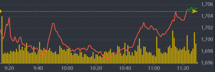 Diễn biến VN-Index sáng nay.