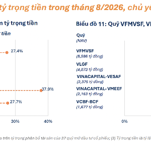 VnEconomy
