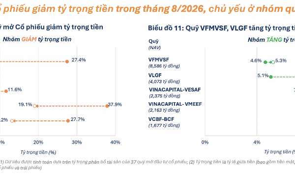 21 quỹ mở cổ phiếu đẩy mạnh giải ngân, chủ yếu thuộc nhóm quy mô nhỏ