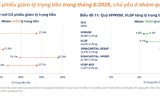VnEconomy