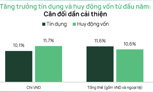 VnEconomy