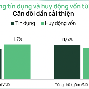 VnEconomy