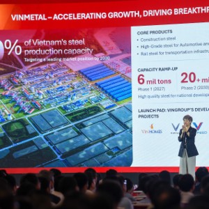 VnEconomy