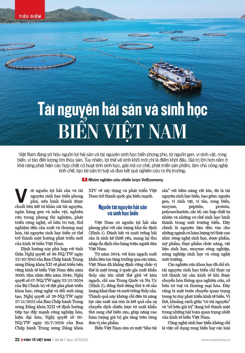 VnEconomy
