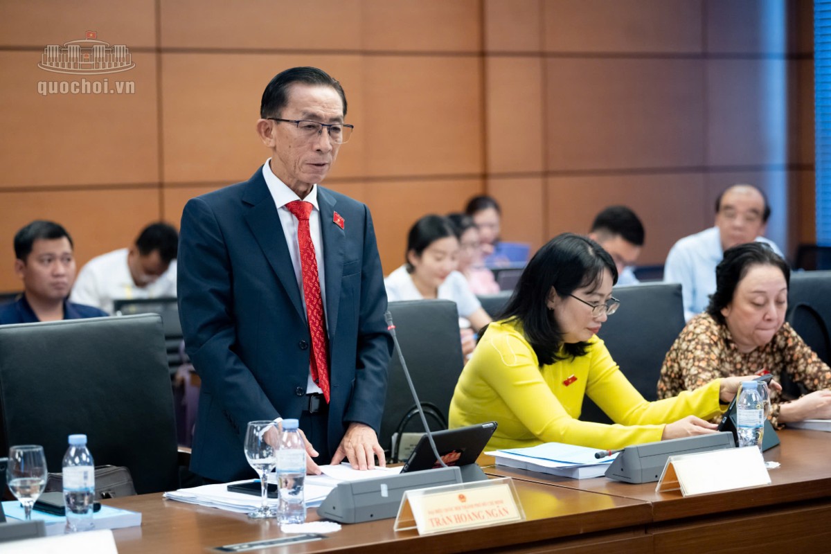 Đại biểu Trần Hoàng Ngân, ĐBQH Thành phố Hồ Chí Minh. Ảnh: Quochoi.vn