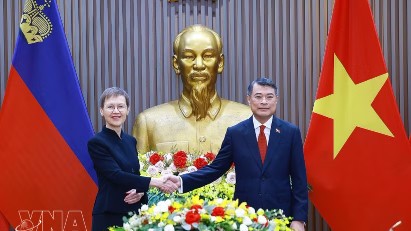 Vietnamese Prime Minister and his Liechtenstein counterpart hold talks