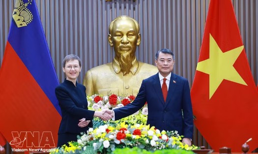Prime Minister Le Minh Hung (R) and his Liechtenstein counterpart Brigitte Haas (Photo: VNA)