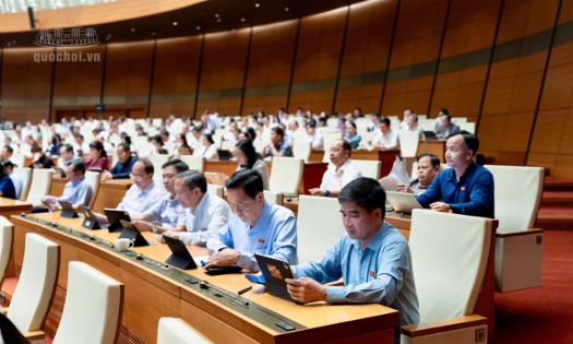 Các đại biểu tham dự phiên họp. Ảnh: Cổng thông tin điện tử Quốc hội.