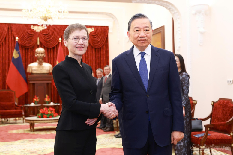 Tổng Bí thư, Chủ tịch nước Tô Lâm tiếp Thủ tướng Liechtenstein - Ảnh: chinhphu.vn/Nhật Bắc