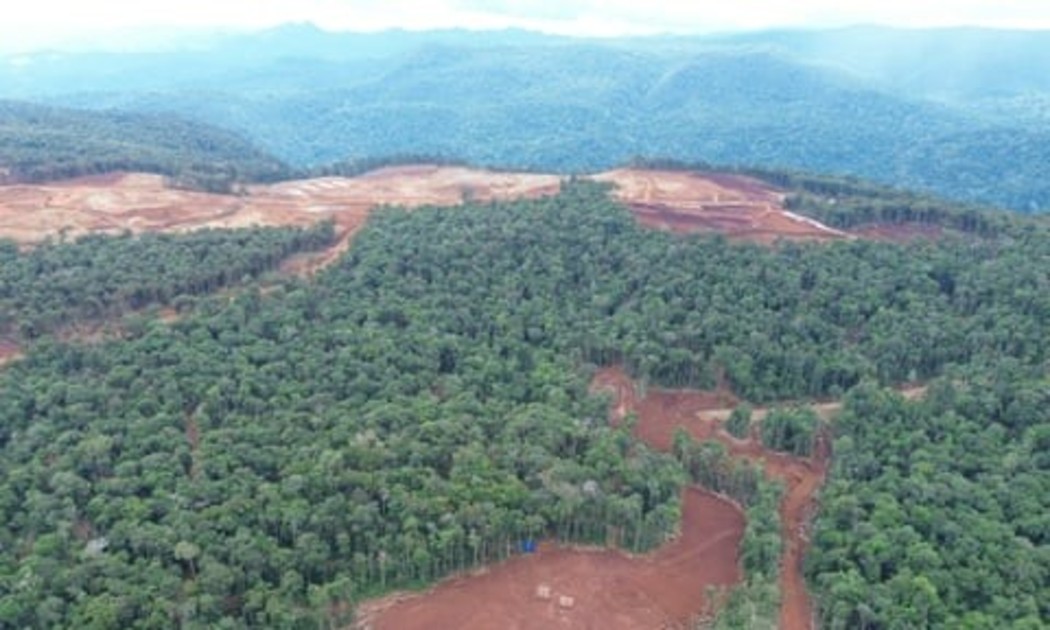Nạn phá rừng tại Indonesia có liên quan đến hoạt động khai thác nickel. Ảnh: Didi Hardiana, NGO Puspaham.