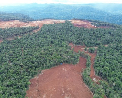 Nạn phá rừng tại Indonesia có liên quan đến hoạt động khai thác nickel. Ảnh: Didi Hardiana, NGO Puspaham.