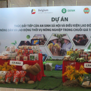 Những sản phẩm từ chuỗi giá trị tôm và lúa ở Đồng bằng sông Cửu Long. Ảnh: Chu Khôi.