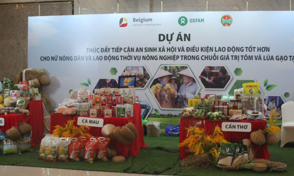 Cải thiện kỹ năng, an toàn lao động để tăng sức cạnh tranh của doanh nghiệp tôm và lúa gạo
