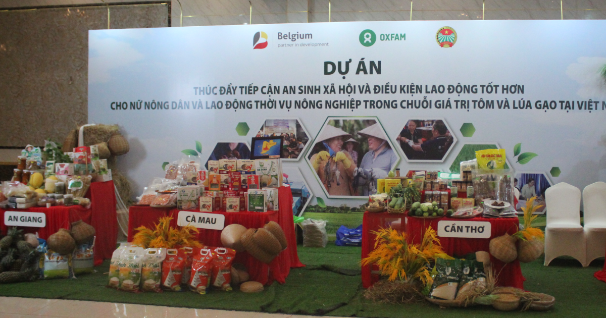 Cải thiện kỹ năng, an toàn lao động để tăng sức cạnh tranh của doanh nghiệp tôm và lúa gạo