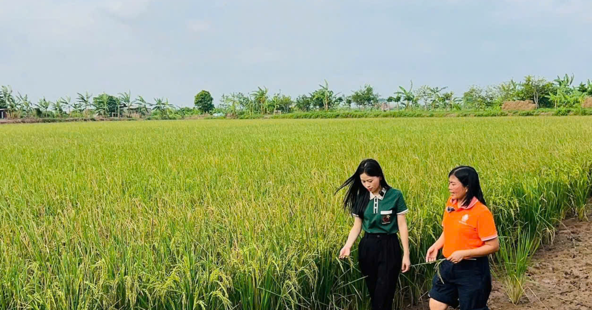 Nữ doanh nhân nông nghiệp: Nâng tầm nông sản Việt, kiến tạo sinh kế bền vững