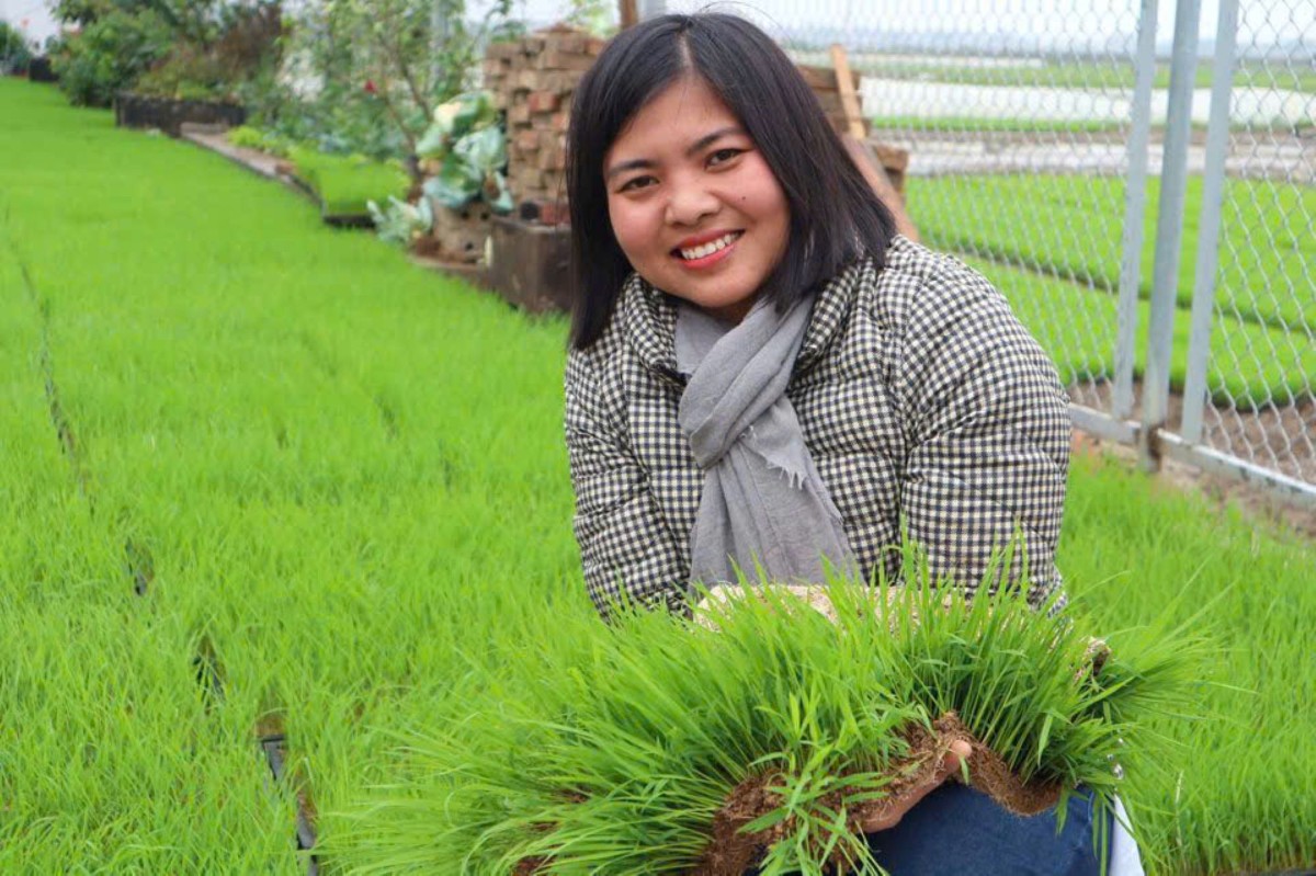 Bà Phạm Thị Kiều Oanh trên ruộng lúa - rươi. Ảnh do nhân vật cung cấp.