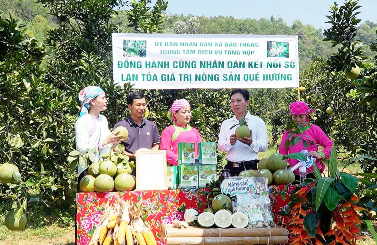 Sản phẩm nông sản vùng cao có nhiều tiềm năng xuất khẩu. Ảnh: Thanh Nga.