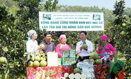 Sản phẩm nông sản vùng cao có nhiều tiềm năng xuất khẩu. Ảnh: Thanh Nga.