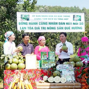 Sản phẩm nông sản vùng cao có nhiều tiềm năng xuất khẩu. Ảnh: Thanh Nga.