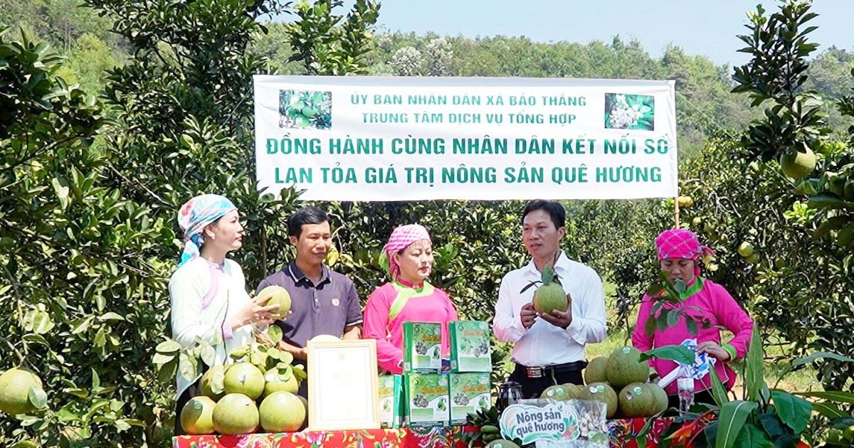 Đưa nông sản vùng cao vượt qua rào cản vươn ra thế giới