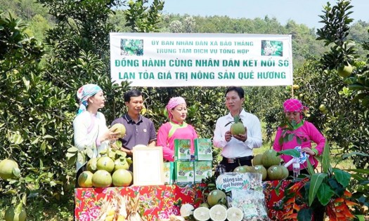 Sản phẩm nông sản vùng cao có nhiều tiềm năng xuất khẩu. Ảnh: Thanh Nga.