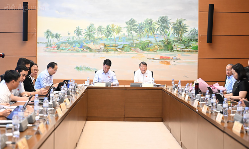 Thủ tướng Chính phủ Lê Minh Hưng thảo luận tại tổ đại biểu Quốc hội - Ảnh: chinhphu.vn/Nhật Bắc