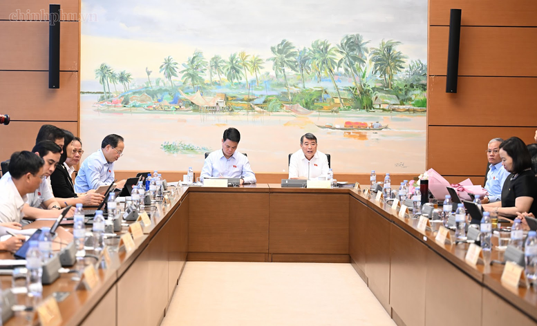 Thủ tướng Chính phủ Lê Minh Hưng thảo luận tại tổ đại biểu Quốc hội - Ảnh: chinhphu.vn/Nhật Bắc