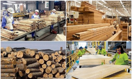 Ngành xuất khẩu gỗ và sản phẩm gỗ tiếp tục khẳng định vị trí trụ cột trong hoạt động thương mại của cả nước. Ảnh minh họa.