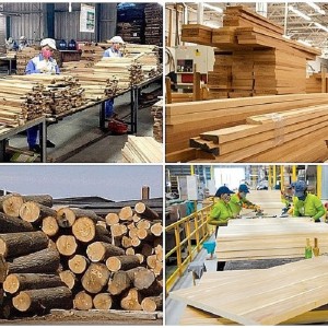 Ngành xuất khẩu gỗ và sản phẩm gỗ tiếp tục khẳng định vị trí trụ cột trong hoạt động thương mại của cả nước. Ảnh minh họa.