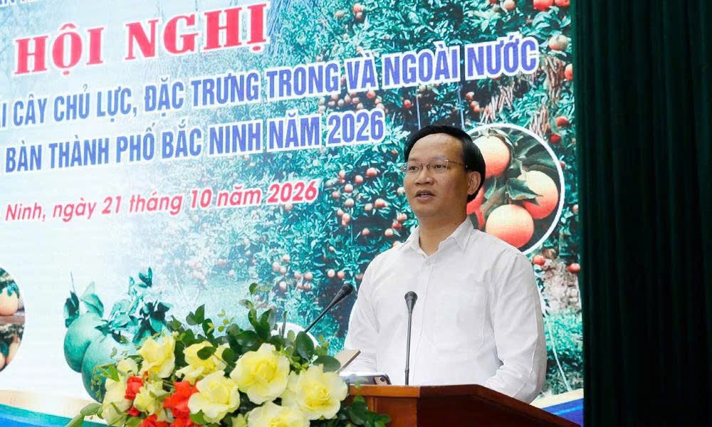 Ông Phạm Văn Thịnh, Phó Chủ tịch Ủy ban nhân dân thành phố Bắc Ninh phát biểu tại hội nghị. Ảnh: Ban tổ chức.
