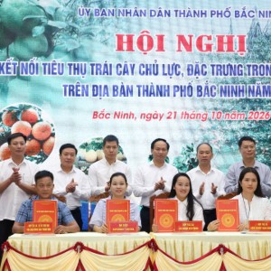 Ký kết tiêu thụ trái cây tại Bắc Ninh. Ảnh: Ban tổ chức.