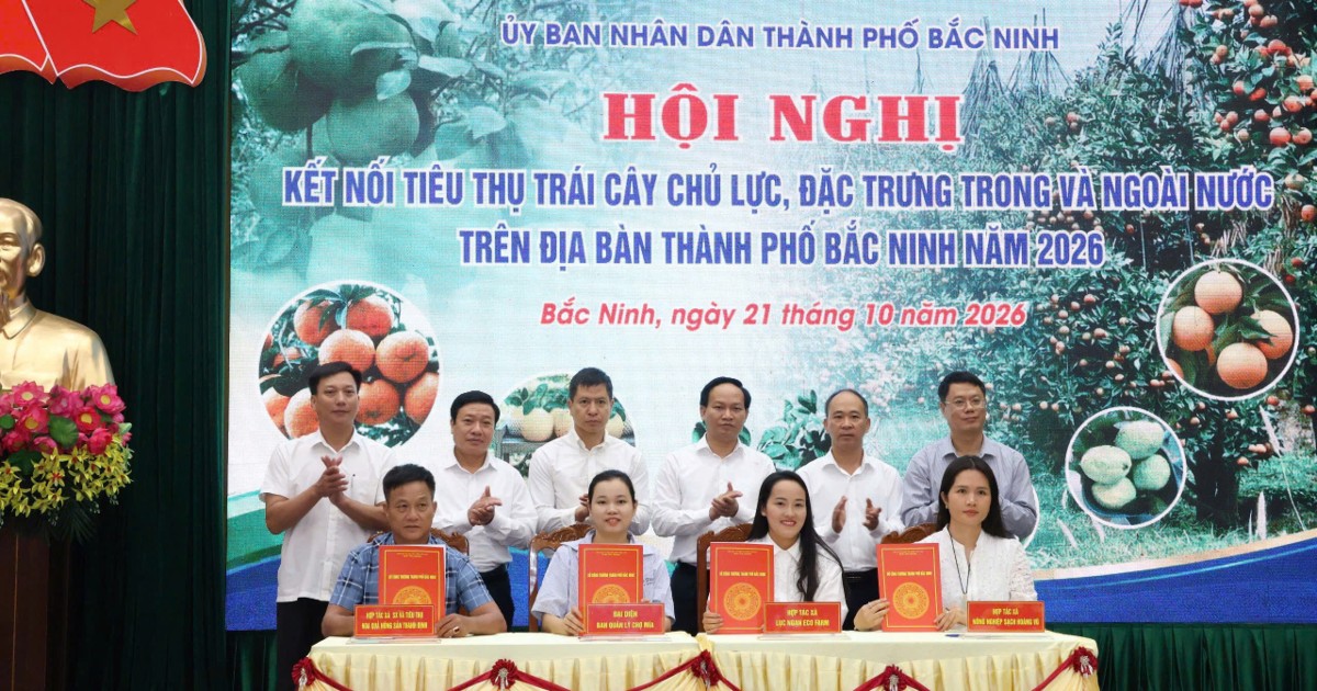 Bắc Ninh chuyển hướng tư duy, phát huy tiềm năng trái cây chủ lực