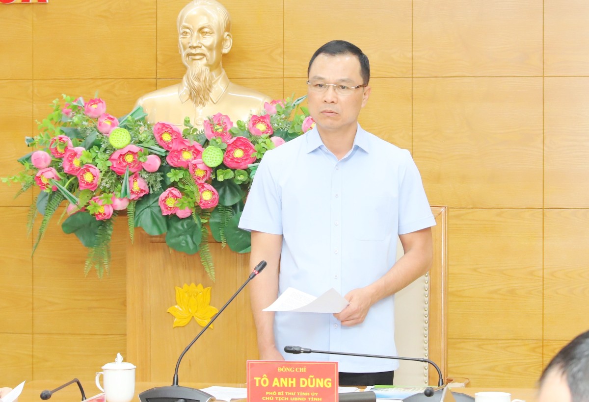 Chủ tịch UBND tỉnh Thanh Hóa Tô Anh Dũng phát biểu chỉ đạo tại hội nghị. Ảnh: Xuân Nghĩa.