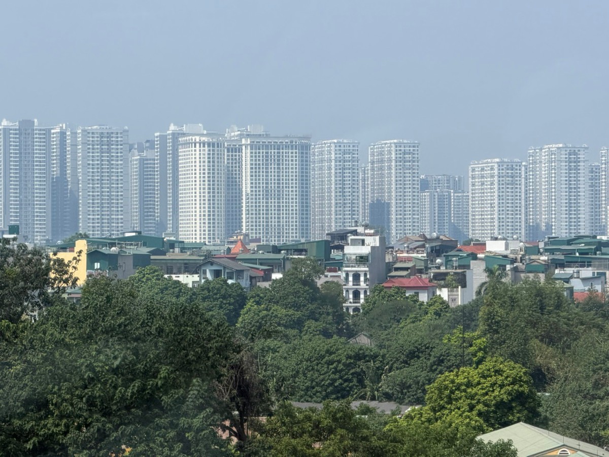 Ảnh minh hoạ: Huyền Ngân

