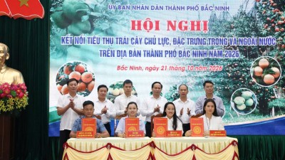 Bac Ninh City expands markets for 118,000 tons of fruits
