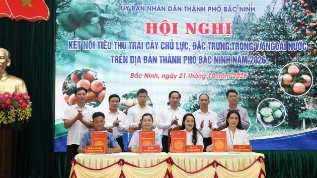 Bac Ninh City expands markets for 118,000 tons of fruits