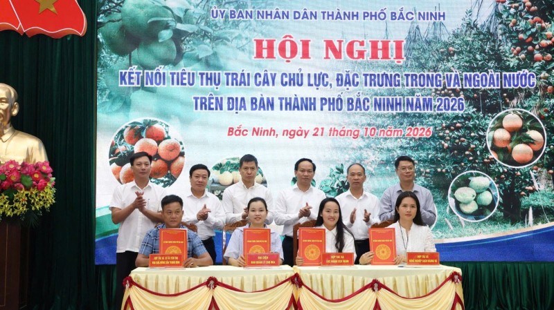Bac Ninh City expands markets for 118,000 tons of fruits