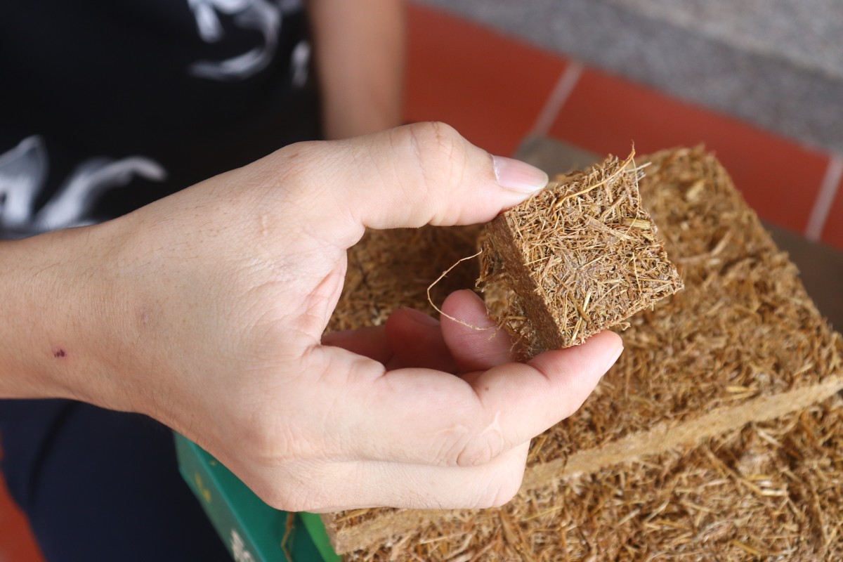 Những thỏi mồi nhóm lửa Eco Firelighter được tạo ra từ nguồn nguyên liệu rơm rạ sẵn có, hướng tới thị trường nước ngoài. Ảnh: Nguyễn Thuấn.