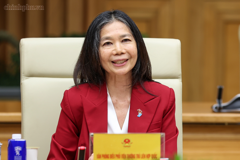 Bà Pauline Tamesis, Điều phối viên Thường trú Liên Hợp Quốc tại Việt Nam phát biểu tại cuộc tiếp - Ảnh: chinhphu.vn/Nhật Bắc
